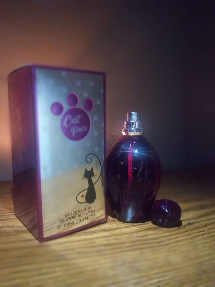 Cat Pure Spray Perfume Eau de Parfum For Women